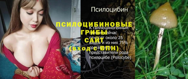 2c-b Арсеньев